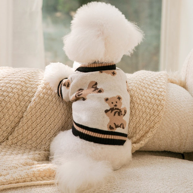 Gilet avec motifs oursons pour animaux de compagnie - doux et élégant