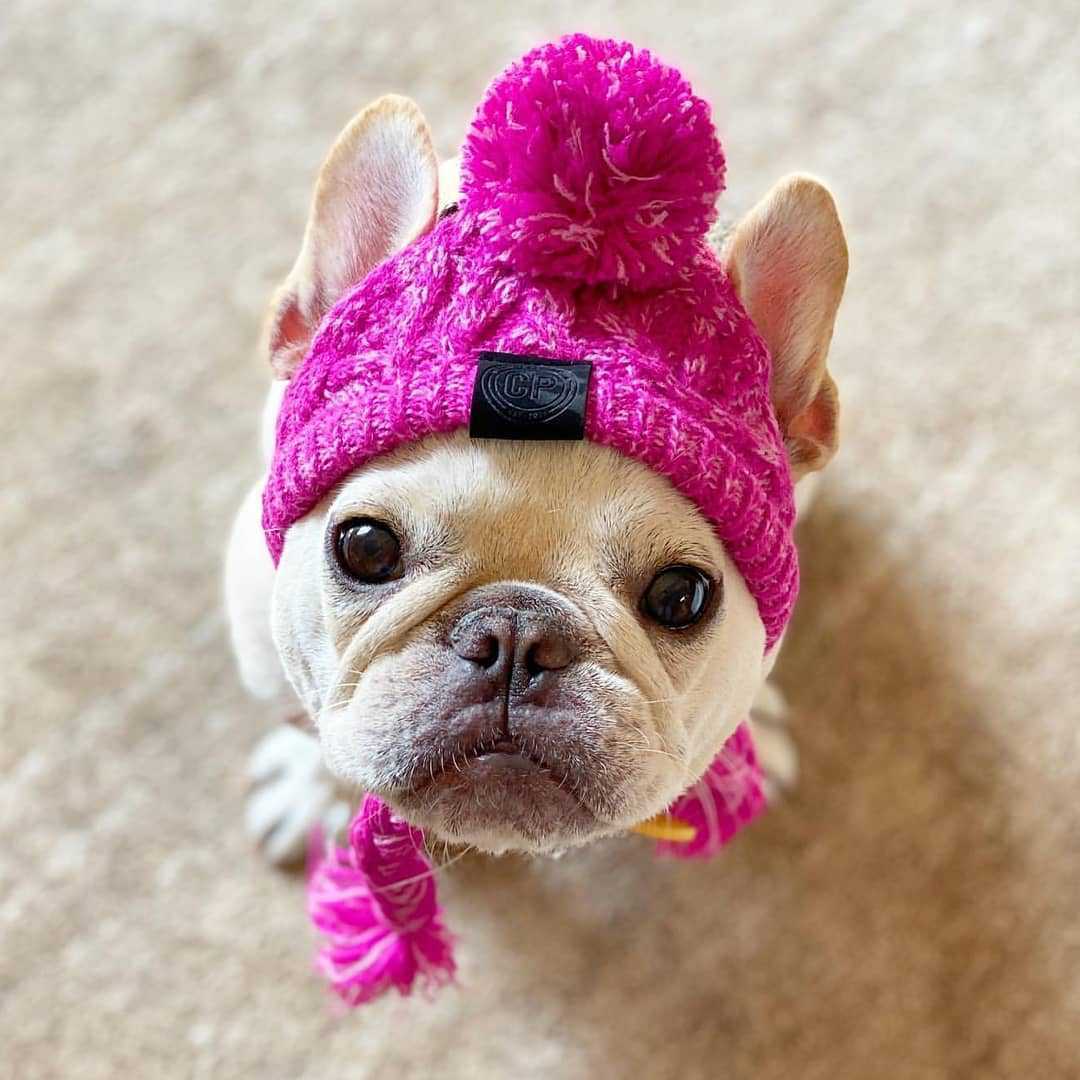 Petit bonnet en laine - confort et style hivernal