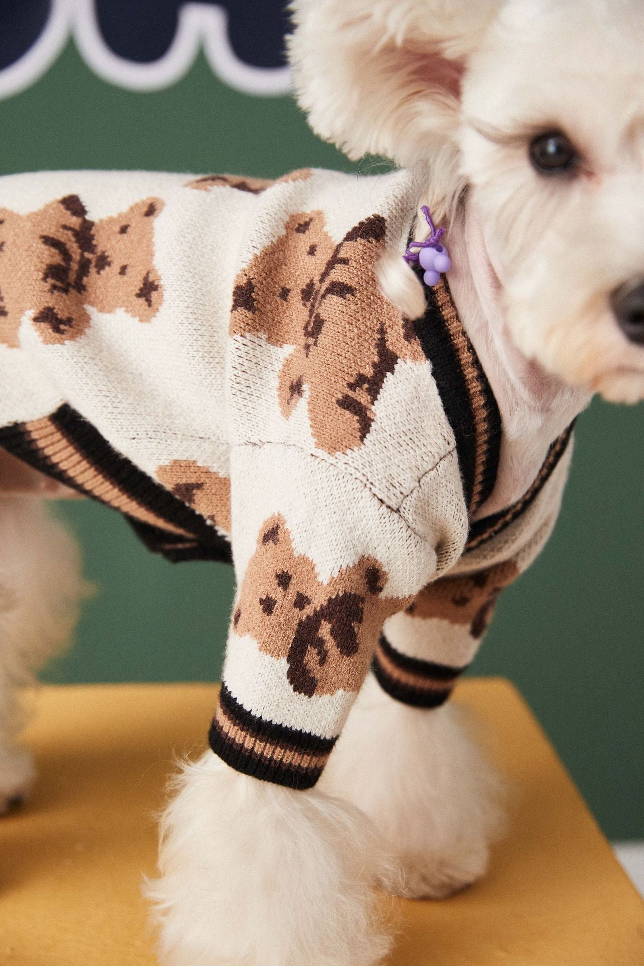 Gilet avec motifs oursons pour animaux de compagnie - doux et élégant