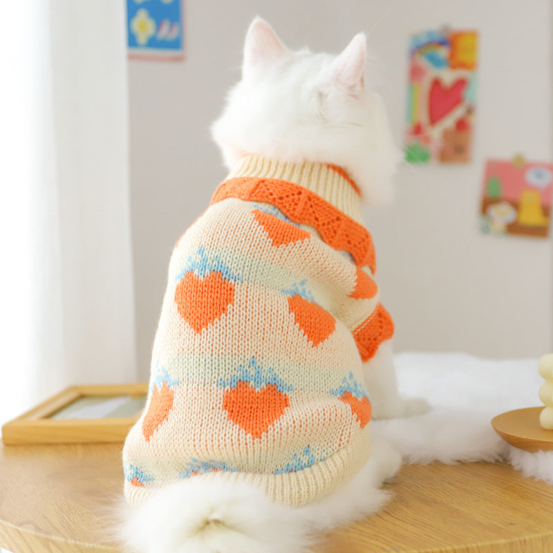 Pull en laine motifs fruités pour animaux de compagnie
