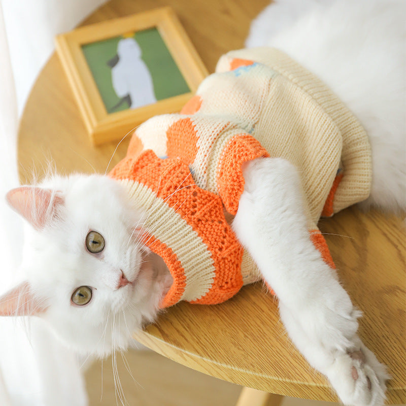 Pull en laine motifs fruités pour animaux de compagnie