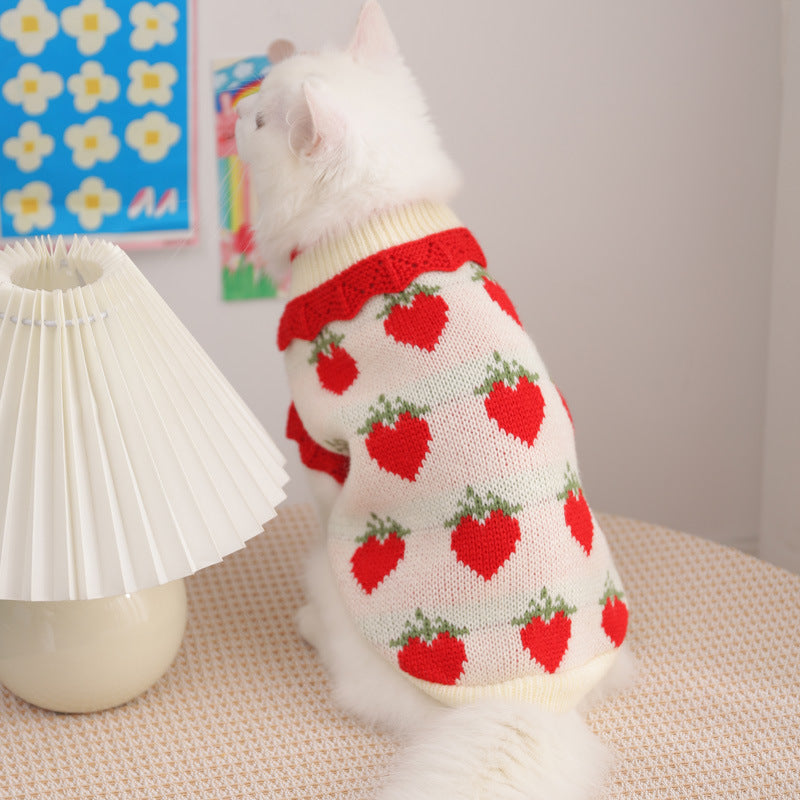 Pull en laine motifs fruités pour animaux de compagnie