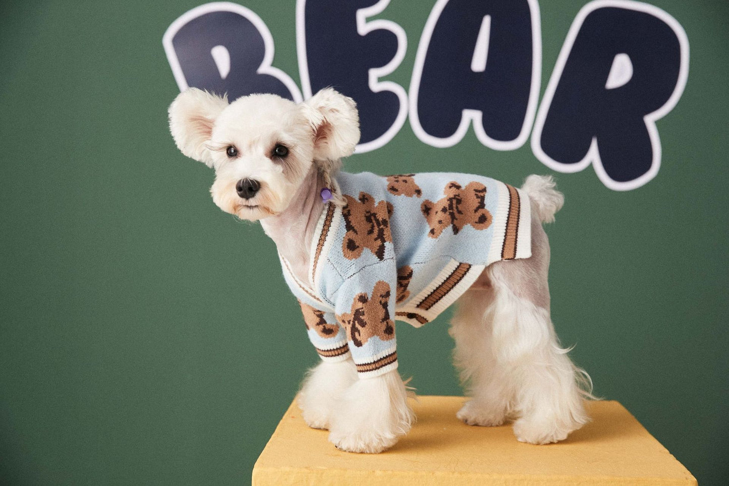 Gilet avec motifs oursons pour animaux de compagnie - doux et élégant