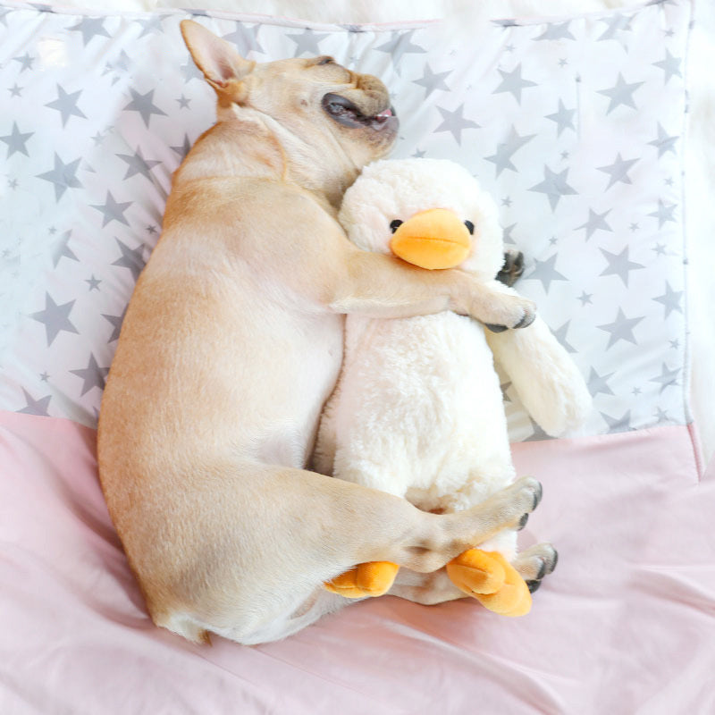Peluche canard douce et mignonne - le soutien émotionnel pour votre compagnon