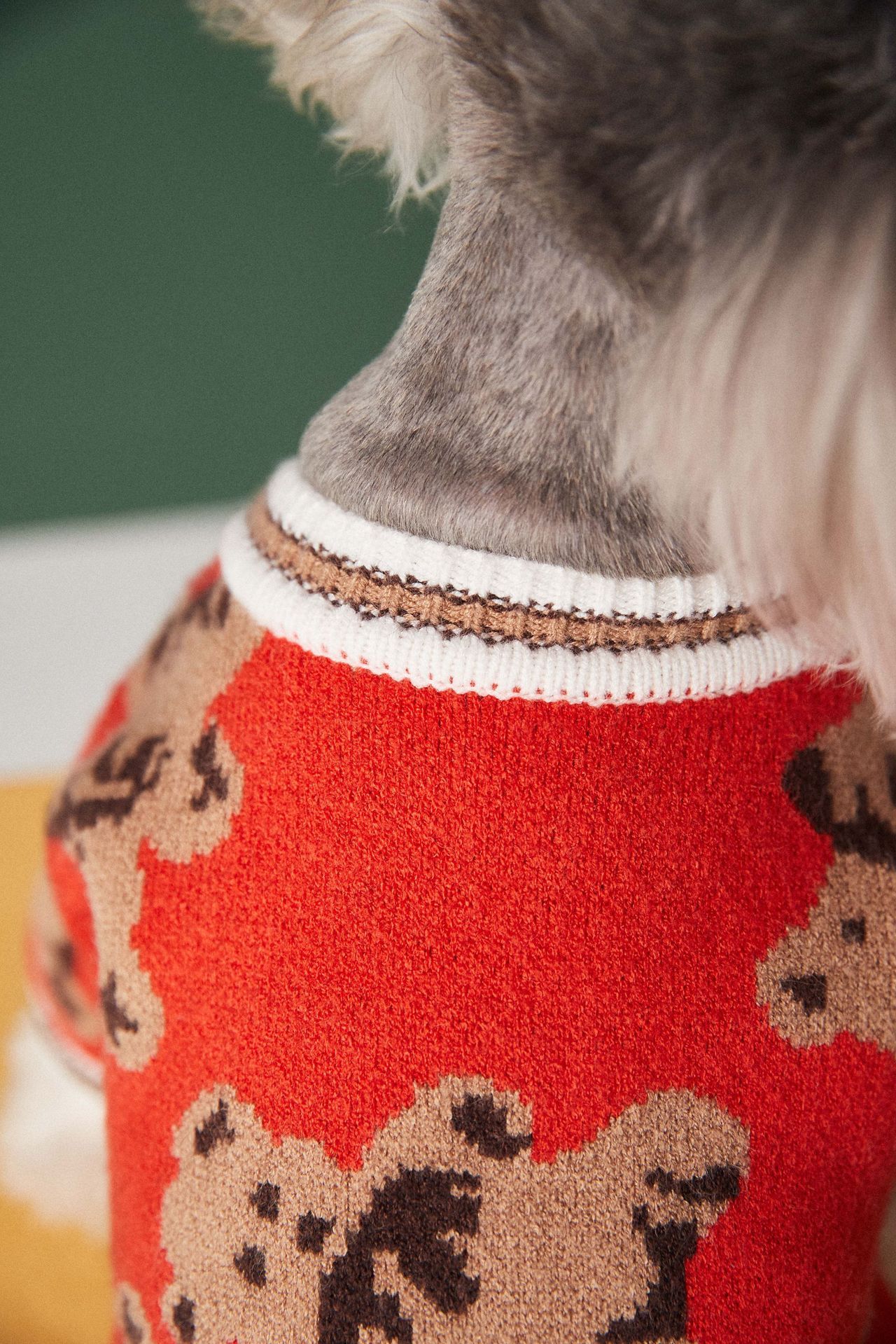 Gilet avec motifs oursons pour animaux de compagnie - doux et élégant