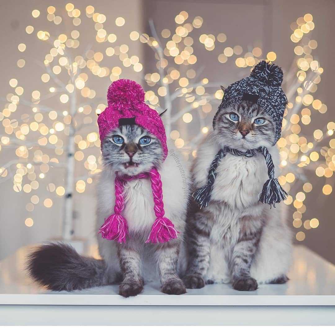 Petit bonnet en laine - confort et style hivernal