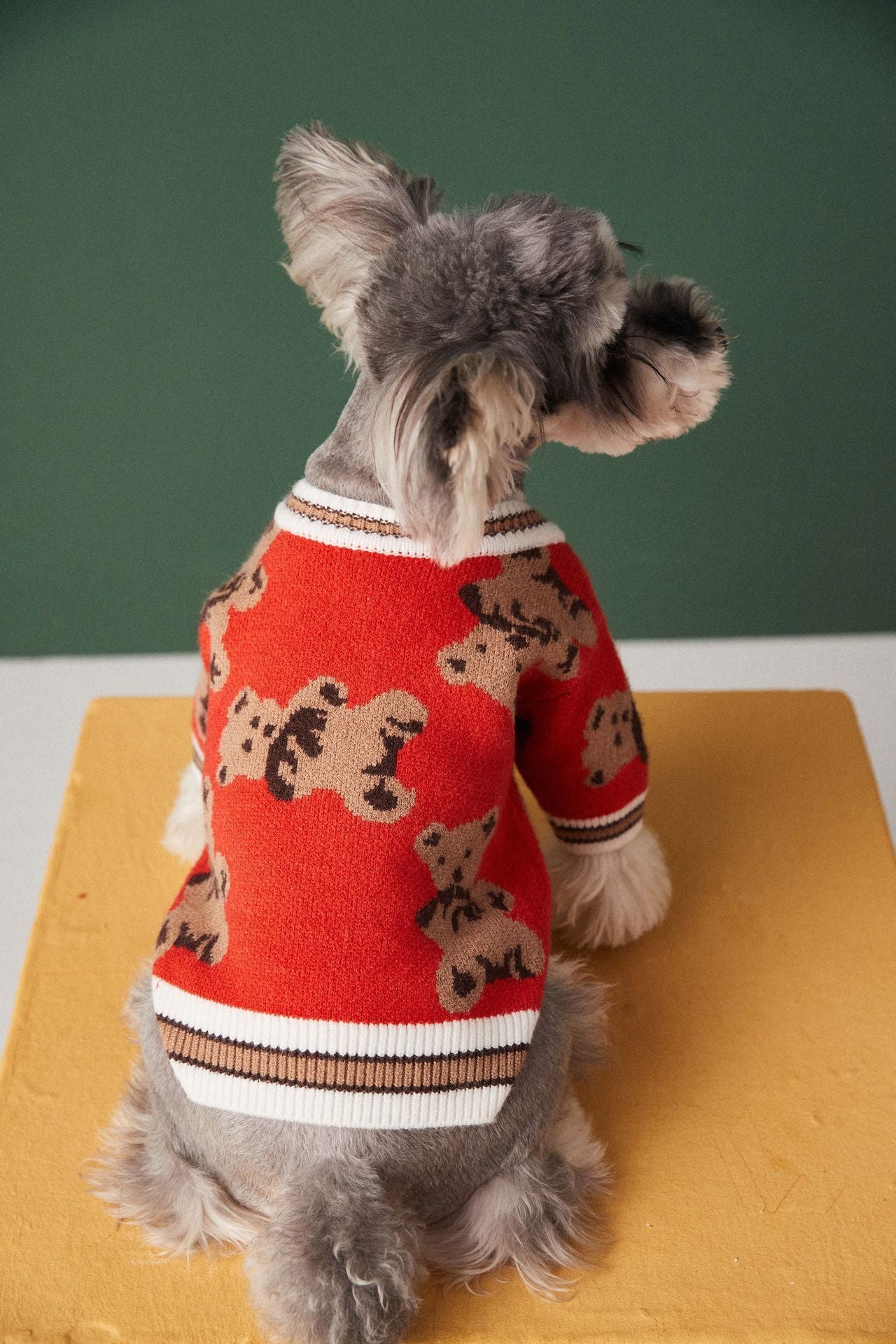 Gilet avec motifs oursons pour animaux de compagnie - doux et élégant