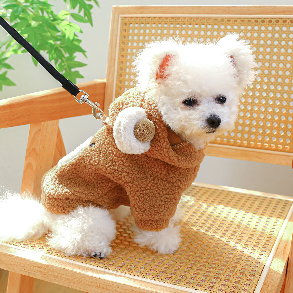 Pull en Moumoute Douillet pour Chiens et Chats - Confort et Style