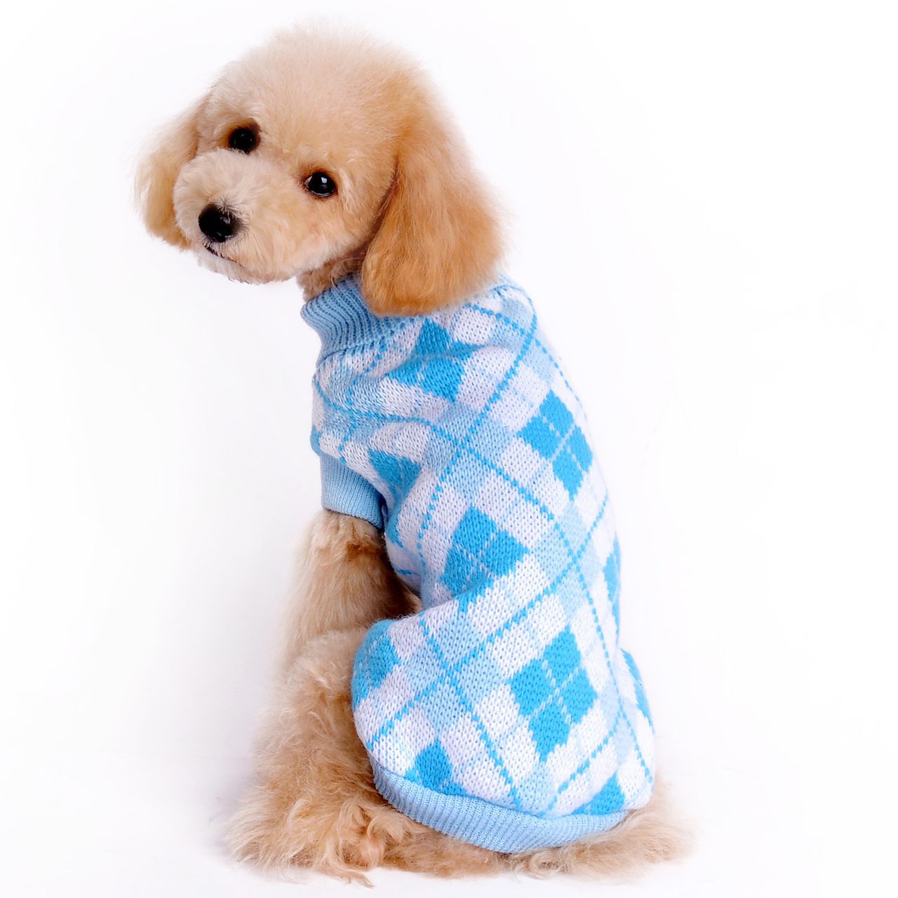 Pull à carreaux pour animaux de compagnie - élégant pour l’hiver