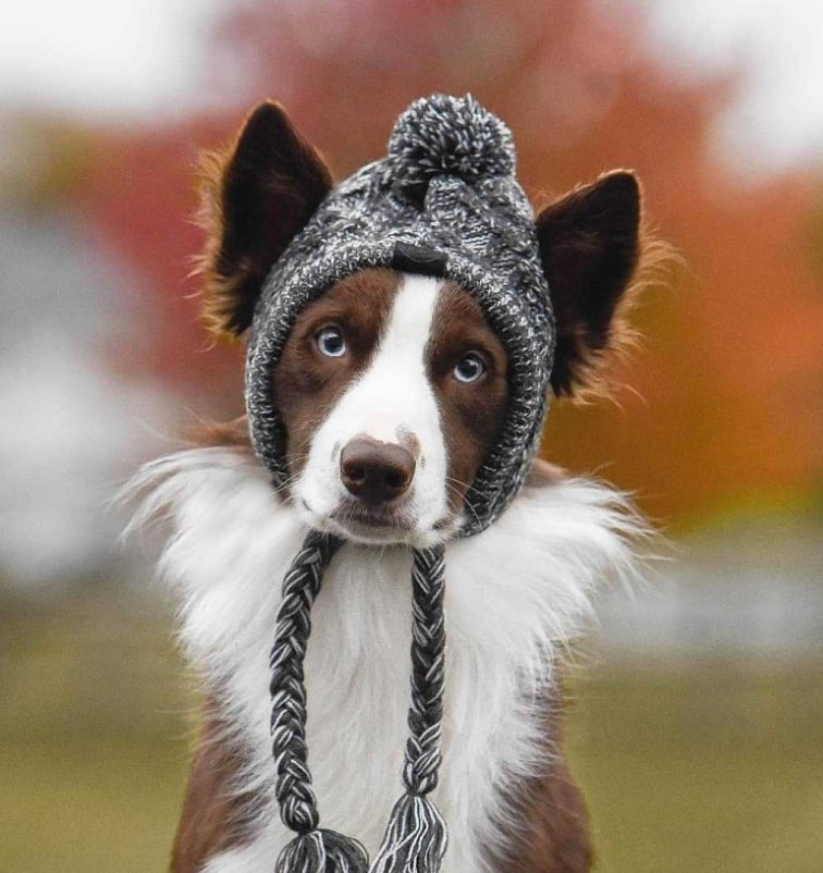 Petit bonnet en laine - confort et style hivernal