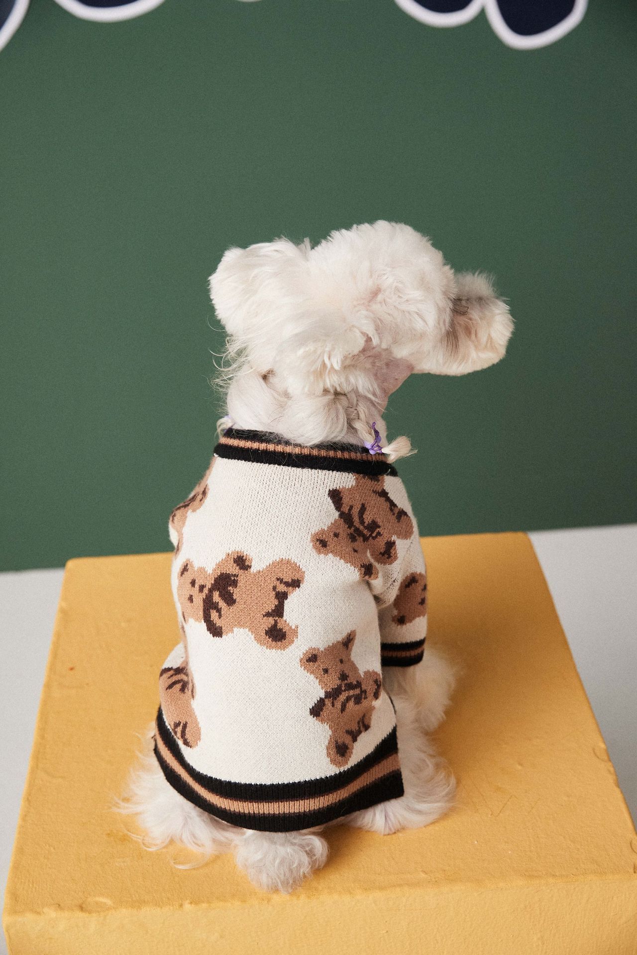 Gilet avec motifs oursons pour animaux de compagnie - doux et élégant