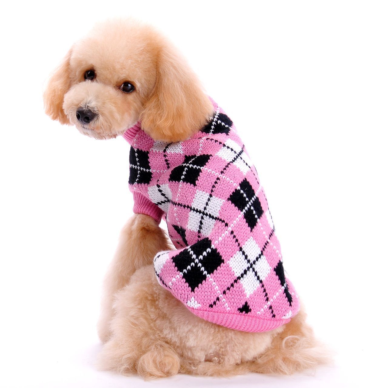 Pull à carreaux pour animaux de compagnie - élégant pour l’hiver