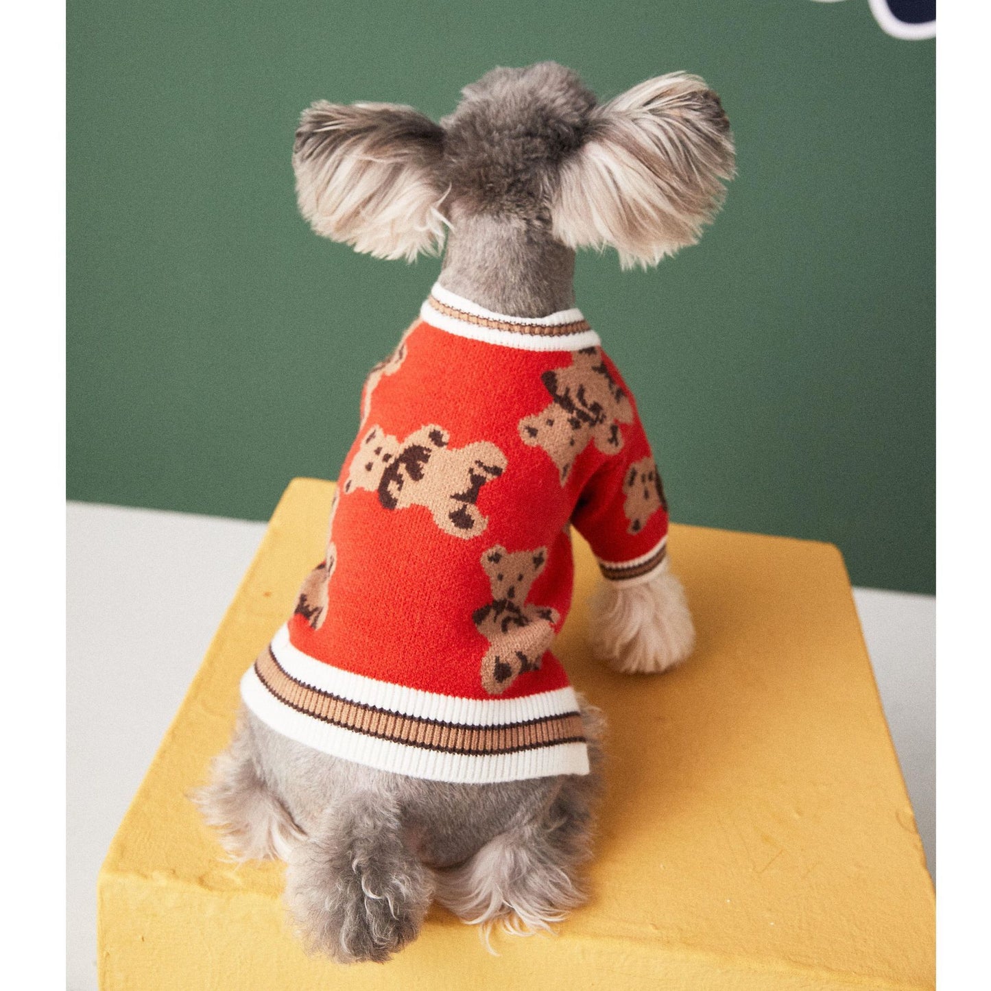 Gilet avec motifs oursons pour animaux de compagnie - doux et élégant