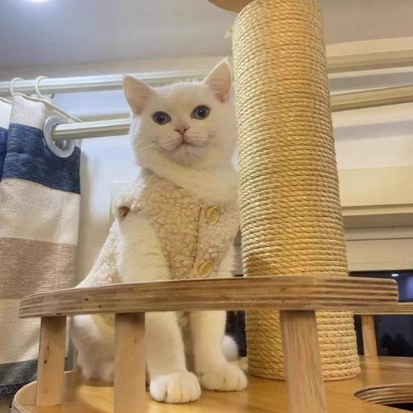 Gilet chaud en laine pour chats