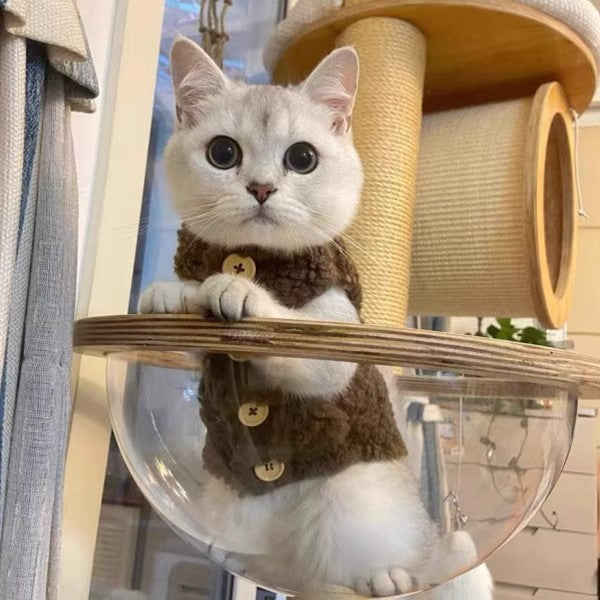 Gilet chaud en laine pour chats