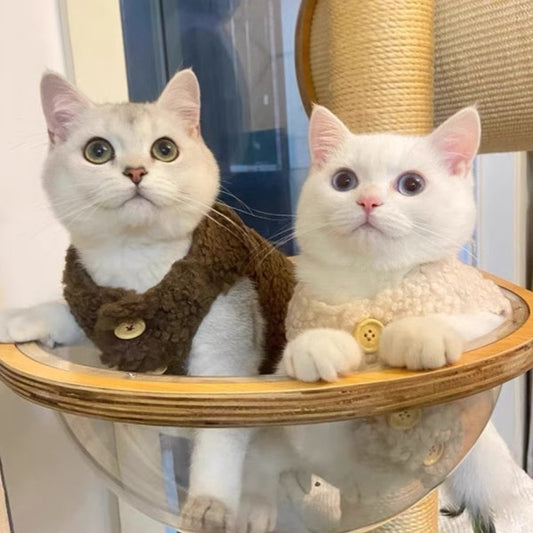 Gilet chaud en laine pour chats