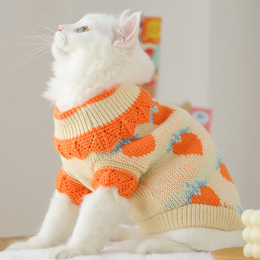 Pull en laine motifs fruités pour animaux de compagnie